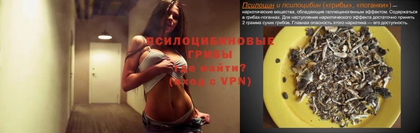 ALPHA PVP Остров