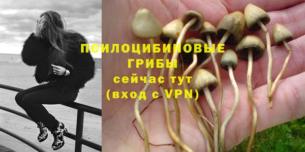 марки lsd Нязепетровск