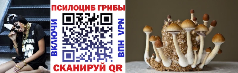 наркота  Калачинск  Псилоцибиновые грибы прущие грибы 